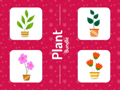 Plant Collections decorative