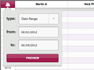 Print Preview button date range form from grey icon input label pink preview print select table text to type