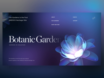 Mysterious Garden 3d animation botanic design flower garden layout ui visual