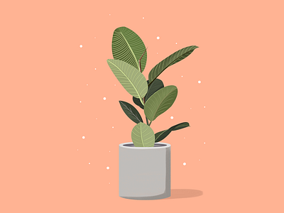 Plant Illustration design digital painting dribbble flat illustration minimal plants