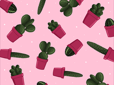 Cactus design digital painting dribbble flat illustration