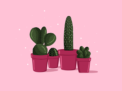 Cactus illustration cactus cactus illustration cute illustration design digital painting flat illustration plant illustration plants