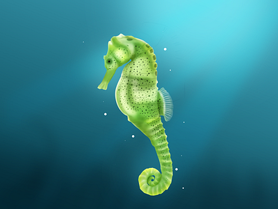 sea horse animals design digital painting dribbble illustration sea sea horse