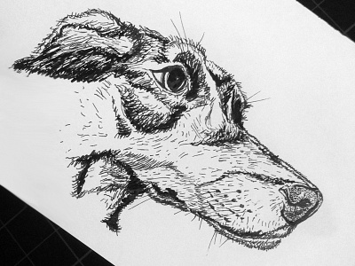 Coco dog draw drawing ink pen pup sketch