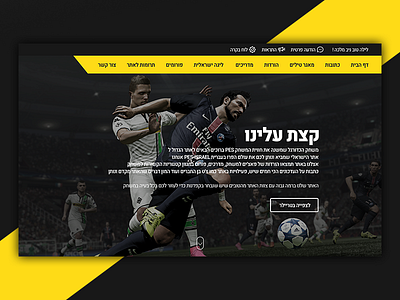 pes israel website design design israel pes ui ux website
