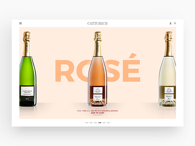 Catturich Ducco Wines colors design digital e commerce flat italy minimal ui ux web wine wines