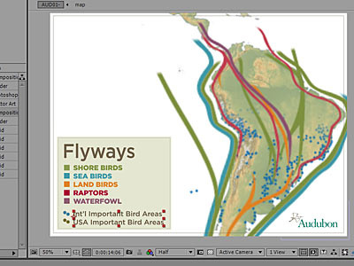 animated map adobe after effects animation cs5 map motion motion design motion graphics video