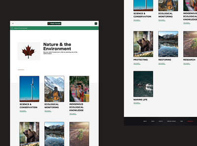 Parks Canada - Nature the Environment page app design canada creative direction design illustration nature parks ui design ux design web website