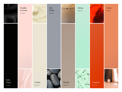 Ice cream inspired Color palette