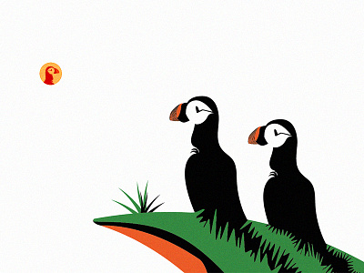 Iceland bird flat iceland illustration puffin visually disturbed