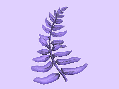 Fern botanical flower graphics illustration pencil