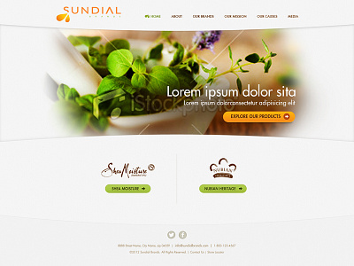 Concept for sundial brands corporate site light ui web design