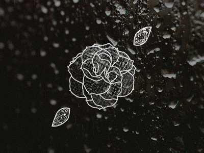 Rose design flower illustration leaves lineart outline rose tattoo vector