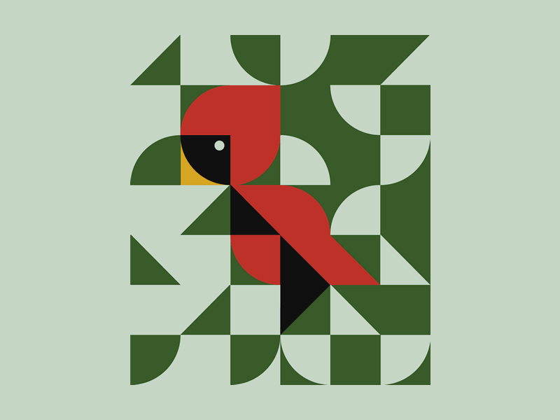 Bird Pals abstractart animation birds geometricdesign gif illustration minimalism