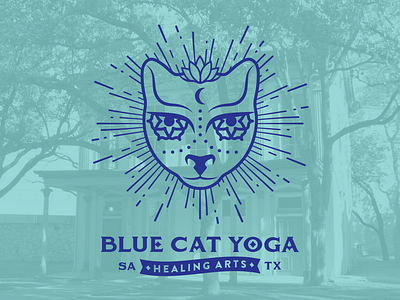 Blue Cat Yoga - Branding branding graphicdesign illustration logo
