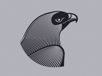Eagle bird blackandwhite branding eagle icon illustration lines packaging tequila