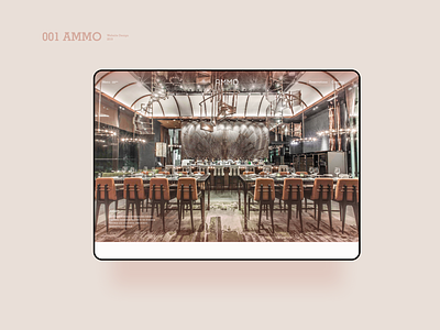 Website Design for AMMO