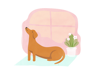 Doga cute daschund dog illustration pet sausage-dog yoga