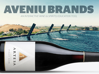 Aveniu Brands Website alcohol spirits food pairing liquor wine