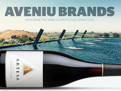 Aveniu Brands Website