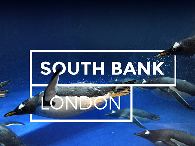 South Bank London Branding aquarium bank branding city identifier london mark penguins south southbank