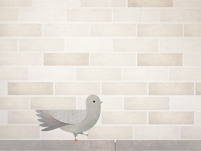 Pigeon bird brick pigeon street wall
