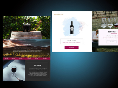 Winery branding design graphic design ui