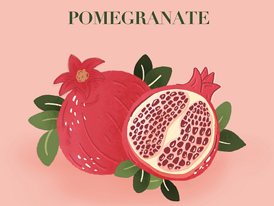 Pomegranate November flat illustrator food illustration fruit illustration pink pink fruit pomegranate procreate