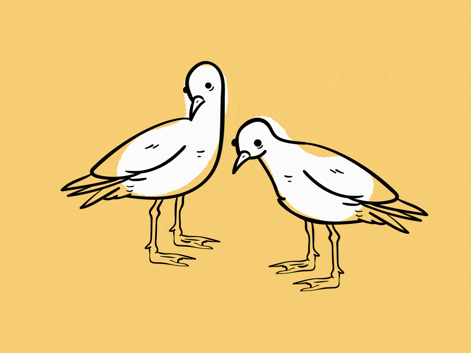 Contemplations of pigeons animation doodle illustration