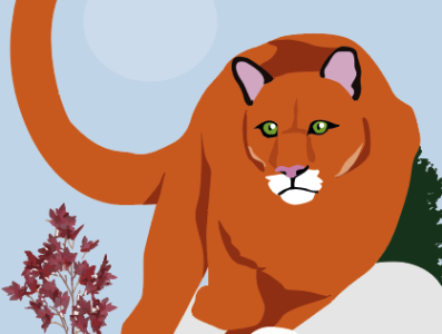 Cougar illustrarion design illustration