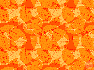 Orange Beech beech illustration leaves orange pattern vector