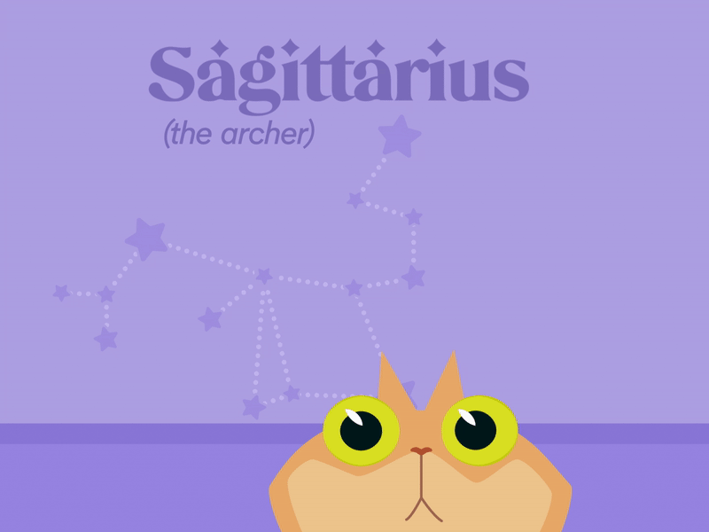 Cat Sagittarius Part 2 of 3 | 2D Character Animation 2d after effects animation astrology cartoon cat cat meme character character animation flat follow through mograph motion design rubberhose sagitarrius secondary motion shape layers silly vector animation zodiac