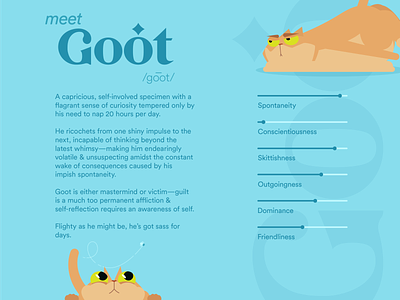 Goot the Cat | Character Profile 2d animation animation animator cartoon case study character animation character art character background character concept character construction character description character design character sheet funny cats illustration mograph motion design motion graphics shape layers vector