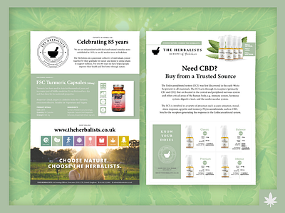The Herbalists CBD Flyer a5 flyer cannabis cbd design flyer health herbalist medicine natural
