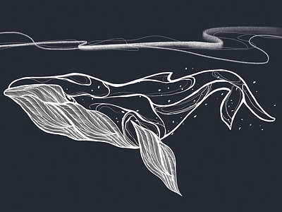 Whale... digital drawing graphic design illustration