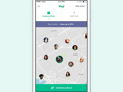 Wag App Redesign dogs ios iphone mobile request ui ux