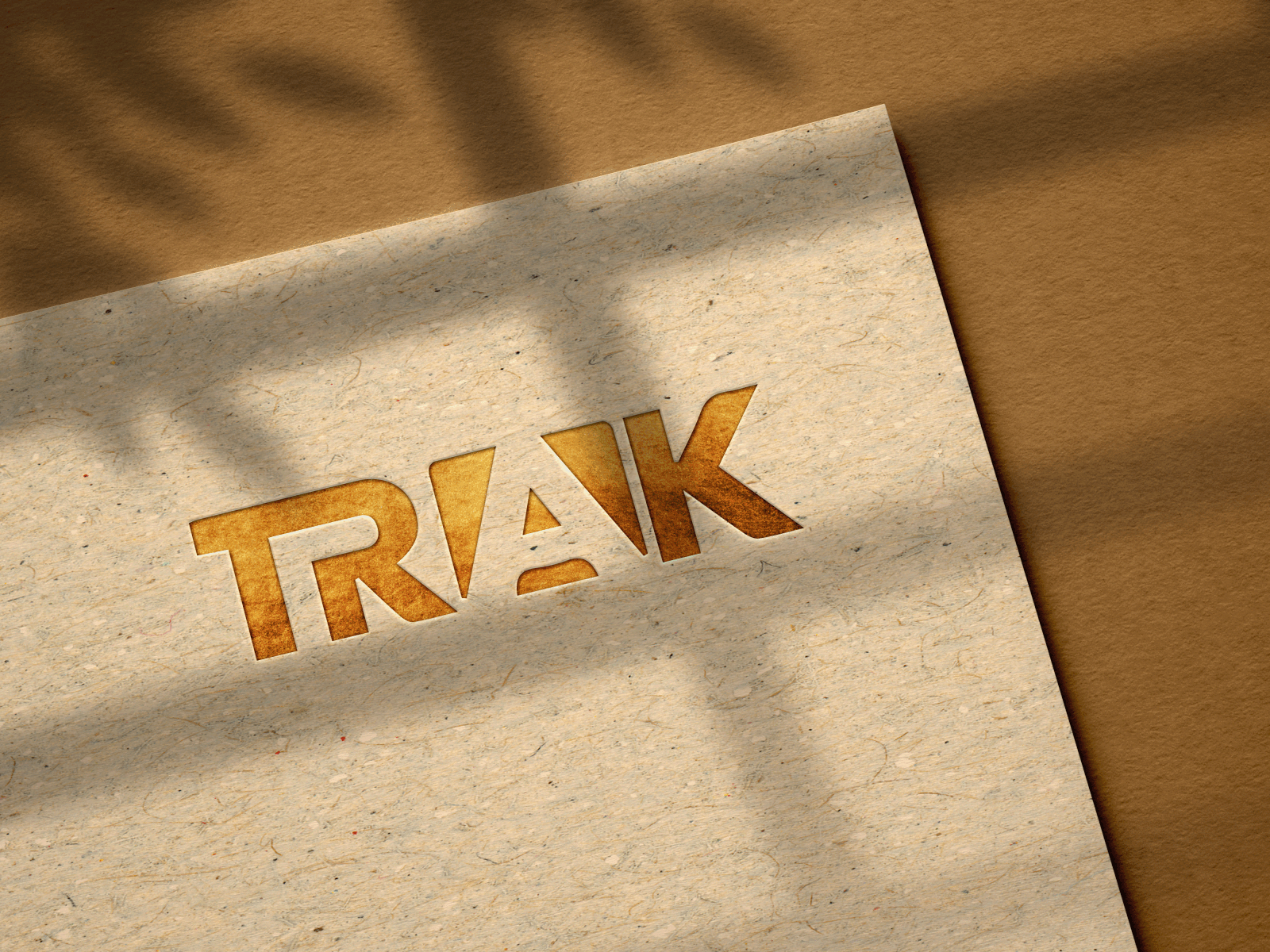 Trak Logo branding graphic design logo