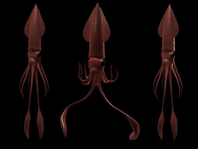 Squid animation c4d modeling