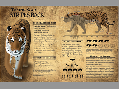 Taking Our Stripes Back ecosystem illustrator photoshop tiger