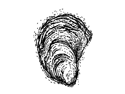 Oyster atlantic black and white illustration oyster oysters seafood shell shellfish