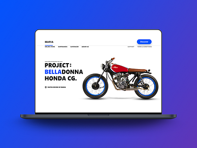 Belladonna abstract app branding clean graphic design illustration ui ux web