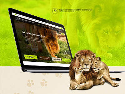 Zoo Website Design animals design green lion nature website zoo