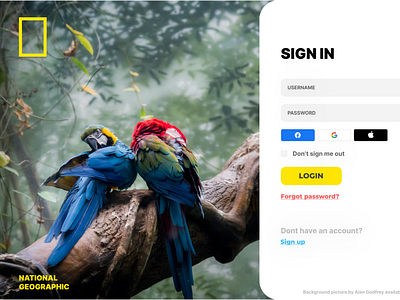 Daily UI :: 001 dailyui dailyuichallenge figma graphic design nationalgeographic signup ui