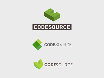 CodeSource logo branding logo