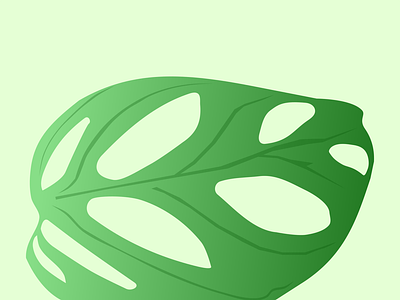 Leaf Vector design graphic design illustration vector
