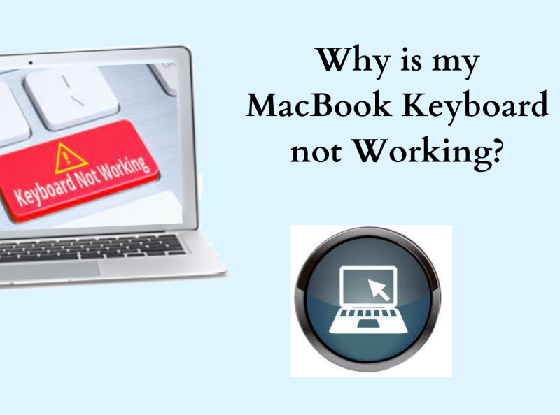 why-is-my-mac-keyboard-not-working-by-david-brown-on-dribbble