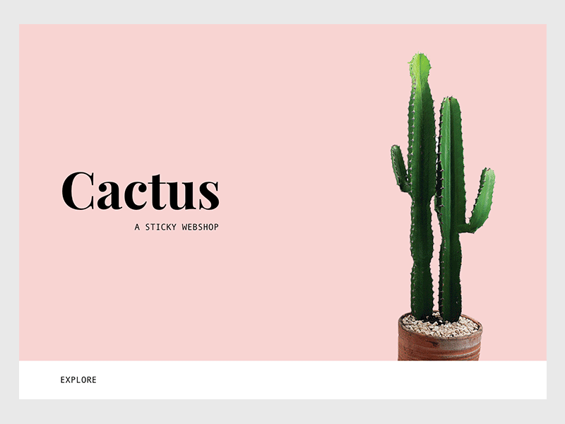 Cactus - early concept screens. branding concept design digital design google fonts mockups type typography ui web