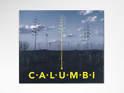 C A L U M B I brasil calumbi music salvador