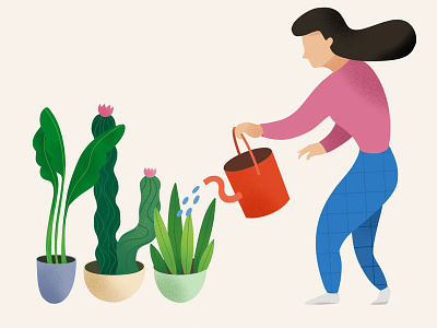 Watering house plants