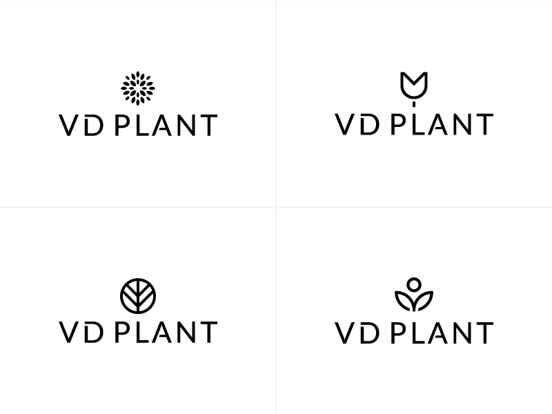 VD Plant options flower leafs logo minimal monogram nature plant round vd